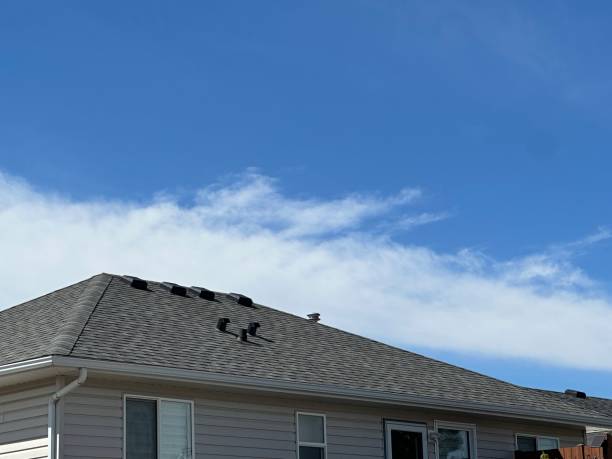 Best Skylight Installation and Repair  in Stratford, CA